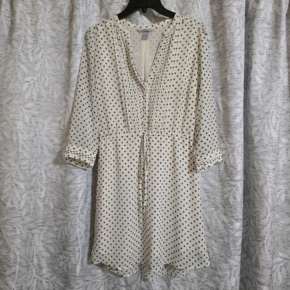 H&M Polkadot Dress